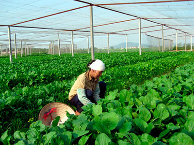 ขยายการเข้าร่วมของประชาชนในการพัฒนาเศรษฐกิจสังคมและการแก้ปัญหาความยากจนในจังหวัดกว้างบิ่ง